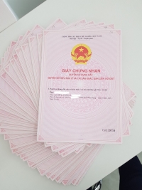 Đầu tư đất nền thời điểm cận tết khách hàng hưởng lợi thế nào?