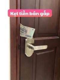 Bán đất ở Đại Phúc – Bắc Ninh. Ô tô vào nhà. 65m. MT 4.5m. Chỉ 1.1 tỷ. 0886 828 007