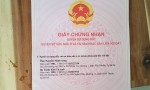Chính Chủ Bán đất vị trí đẹp tại  Huyện Bình Chánh, Tp.HCM