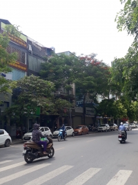 Chính chủ cần bán đất và quán cafe “Cây Si” trong khu biệt thự Vip, Đường Lê Thị Riêng, Phường Thới An, Quận 12, Tp Hồ Chí Minh